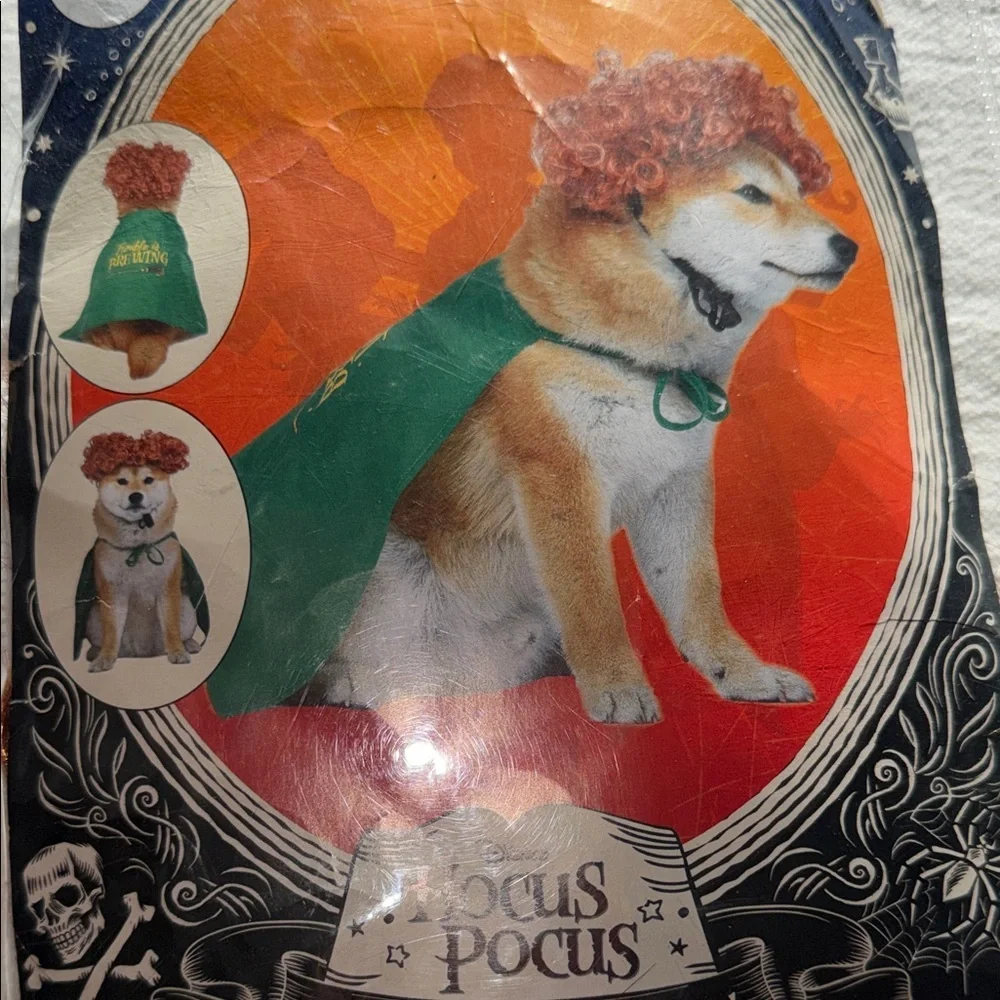 Disney Hocus Pocus Winifred Sanderson Dog Costume Small Green Cape & Red Wig NEW